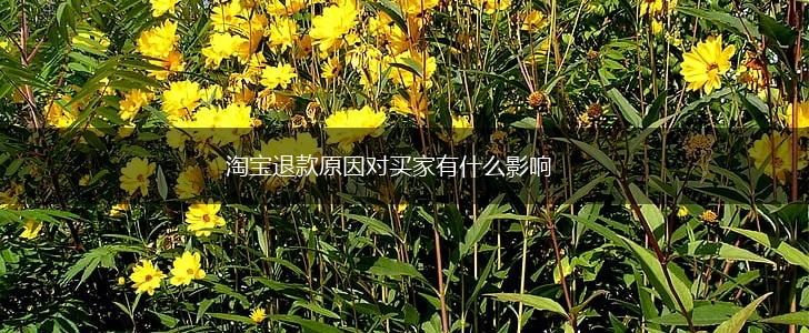 淘宝退款原因对买家有什么影响,第1张