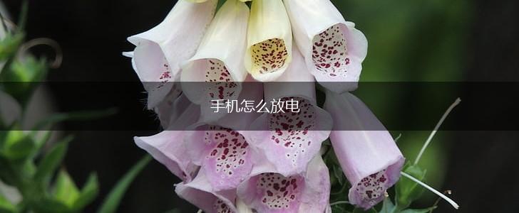 手机怎么放电,第1张