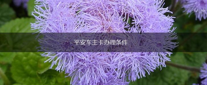 平安车主卡办理条件,第1张