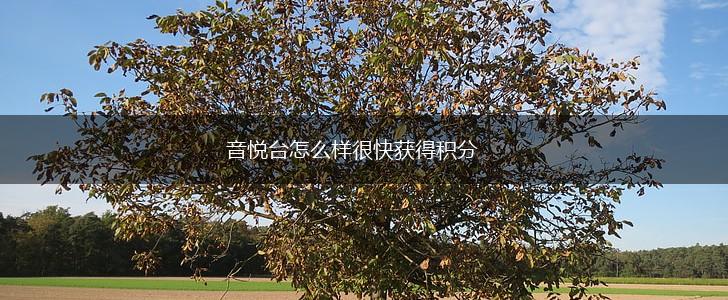 音悦台怎么样很快获得积分,第1张