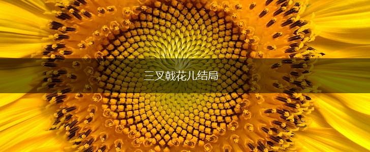三叉戟花儿结局,第1张