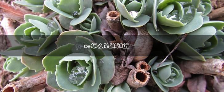 ce怎么改弹弹堂,第1张