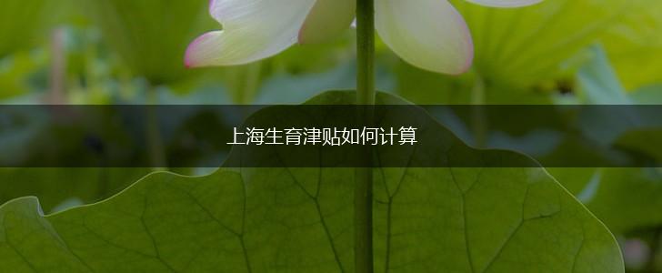 上海生育津贴如何计算,第1张