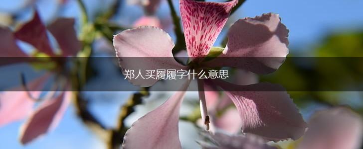 郑人买履履字什么意思,第1张