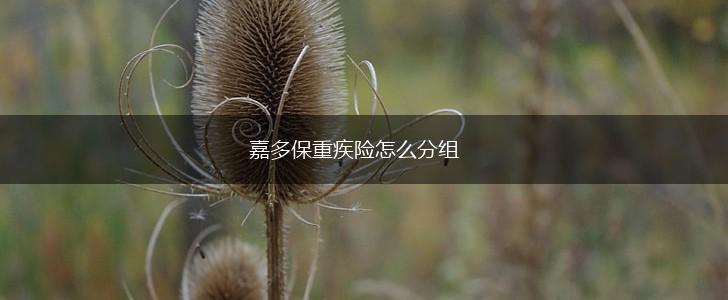 嘉多保重疾险怎么分组,第1张