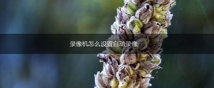 录像机怎么设置自动录像,第1张
