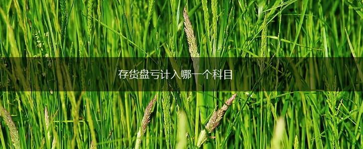 存货盘亏计入哪一个科目,第1张