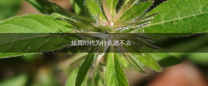 炫舞时代为什么进不去,第1张