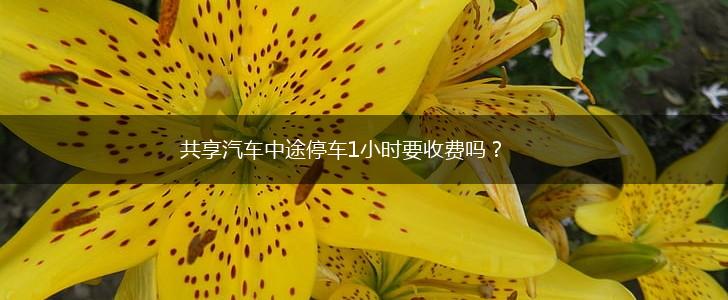 共享汽车中途停车1小时要收费吗？,第1张