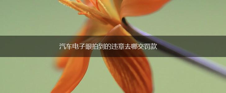 汽车电子眼拍到的违章去哪交罚款,第1张 汽车电子眼拍到的违章去哪交罚款,第1张