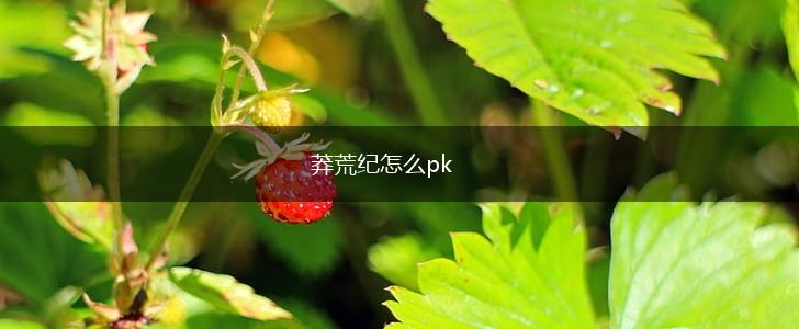 莽荒纪怎么pk,第1张