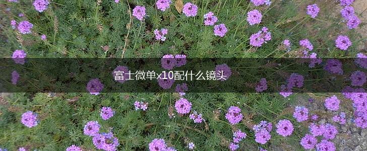 富士微单x10配什么镜头,第1张