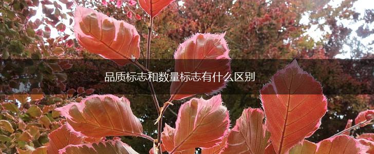 品质标志和数量标志有什么区别,第1张