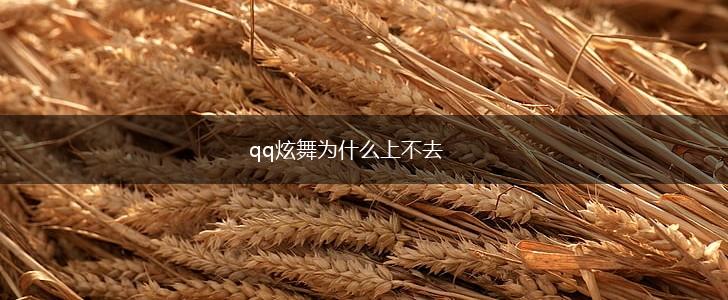 qq炫舞为什么上不去,第1张