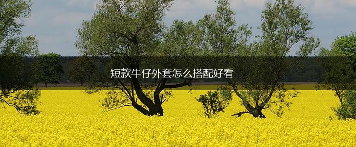 短款牛仔外套怎么搭配好看,第1张