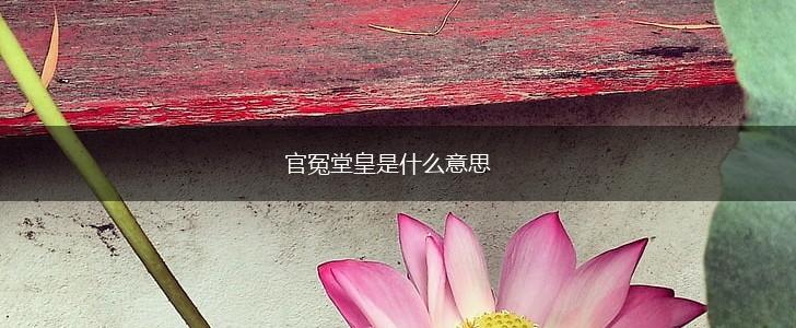 官冤堂皇是什么意思,第1张