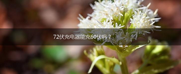 72伏充电器能充60伏吗？,第1张