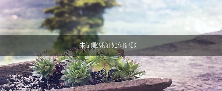 未记账凭证如何记账,第1张