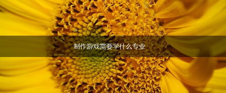 制作游戏需要学什么专业,第1张
