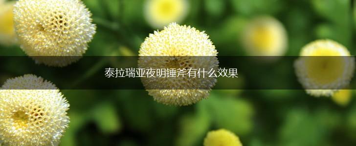 泰拉瑞亚夜明锤斧有什么效果,第1张