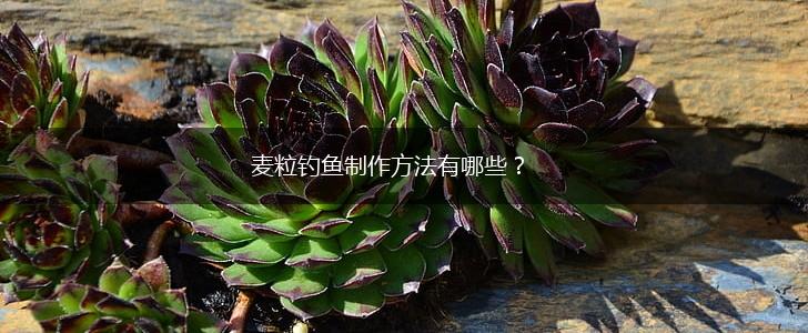 麦粒钓鱼制作方法有哪些？,第1张