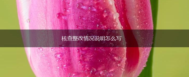 核查整改情况说明怎么写,第1张