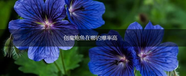 创魔鲍鱼在哪钓爆率高,第1张