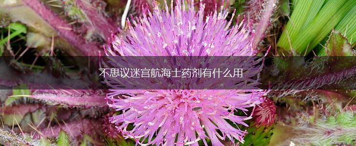 不思议迷宫航海士药剂有什么用,第1张