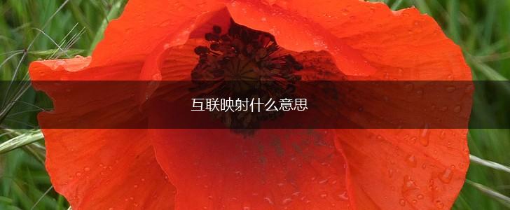 互联映射什么意思,第1张
