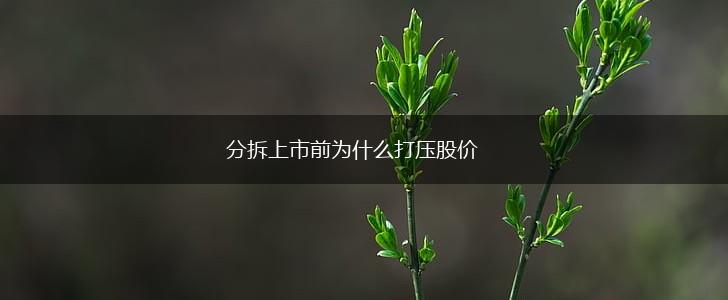 分拆上市前为什么打压股价,第1张