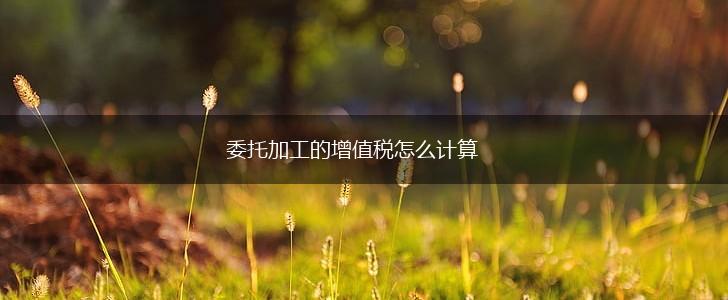 委托加工的增值税怎么计算,第1张