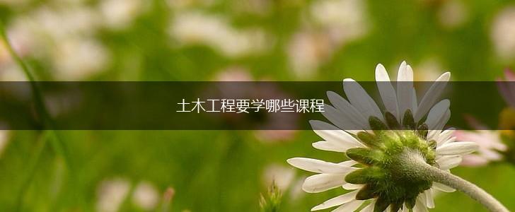 土木工程要学哪些课程,第1张