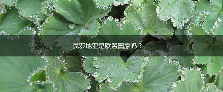 克罗地亚是欧盟国家吗？,第1张