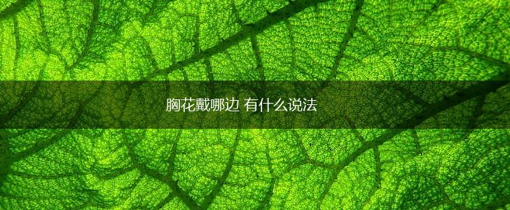 胸花戴哪边 有什么说法,第1张