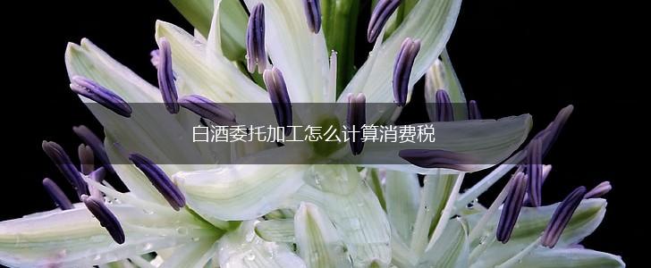 白酒委托加工怎么计算消费税,第1张