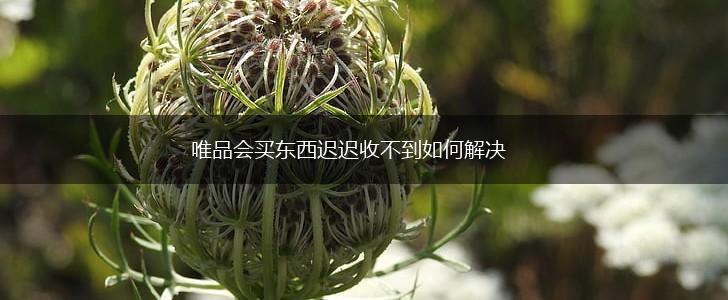 唯品会买东西迟迟收不到如何解决,第1张