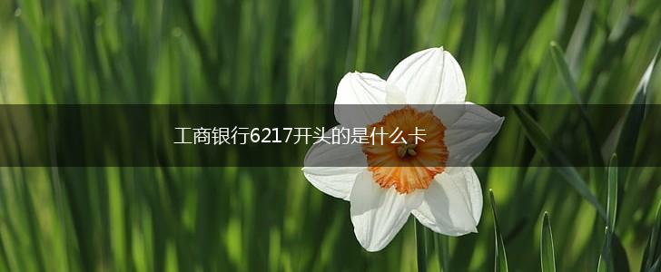 工商银行6217开头的是什么卡,第1张