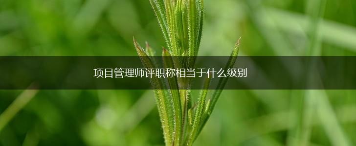 项目管理师评职称相当于什么级别,第1张 项目管理师评职称相当于什么级别,第1张