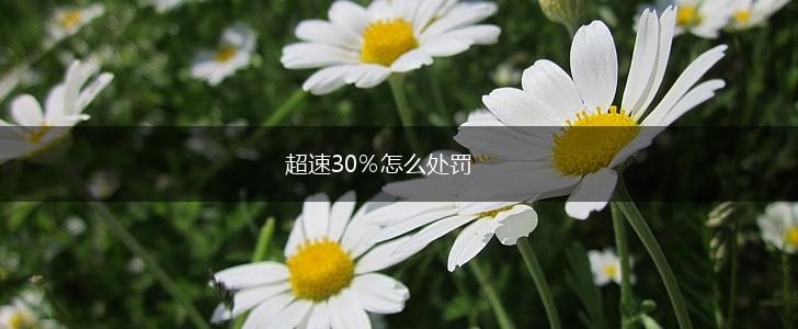 超速30％怎么处罚,第1张