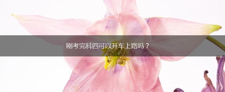 刚考完科四可以开车上路吗？,第1张
