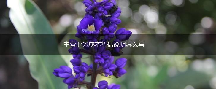 主营业务成本暂估说明怎么写,第1张