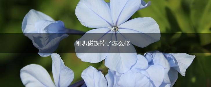 喇叭磁铁掉了怎么修,第1张