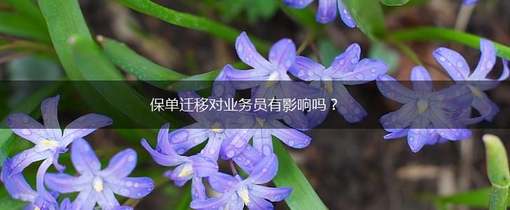 保单迁移对业务员有影响吗？,第1张