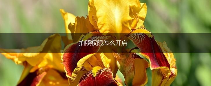 拍照权限怎么开启,第1张