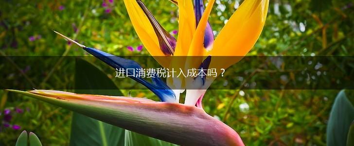 进口消费税计入成本吗？,第1张