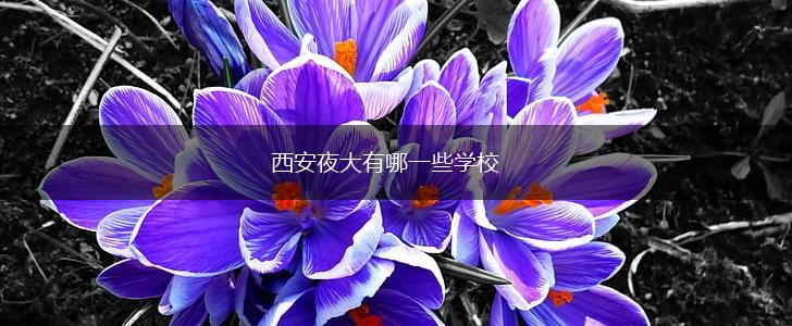 西安夜大有哪一些学校,第1张