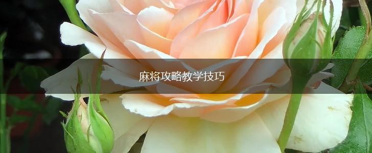 麻将攻略教学技巧,第1张