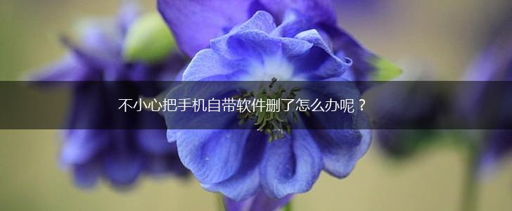 不小心把手机自带软件删了怎么办呢？,第1张