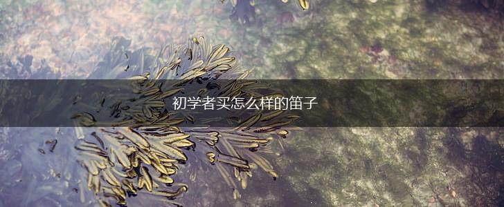 初学者买怎么样的笛子,第1张