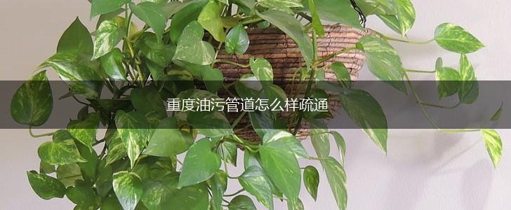 重度油污管道怎么样疏通,第1张